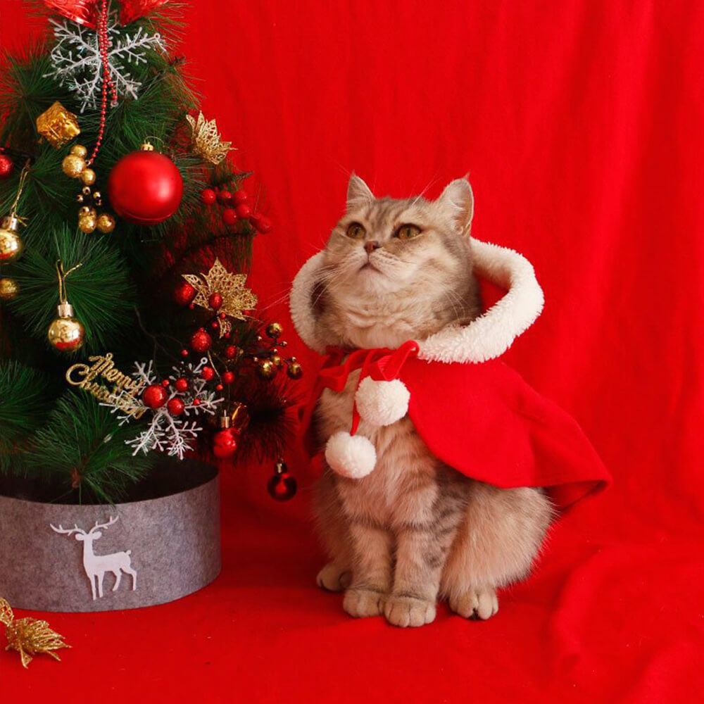 Poncho châle à capuche pour chien et chat, chaud et chic de Noël