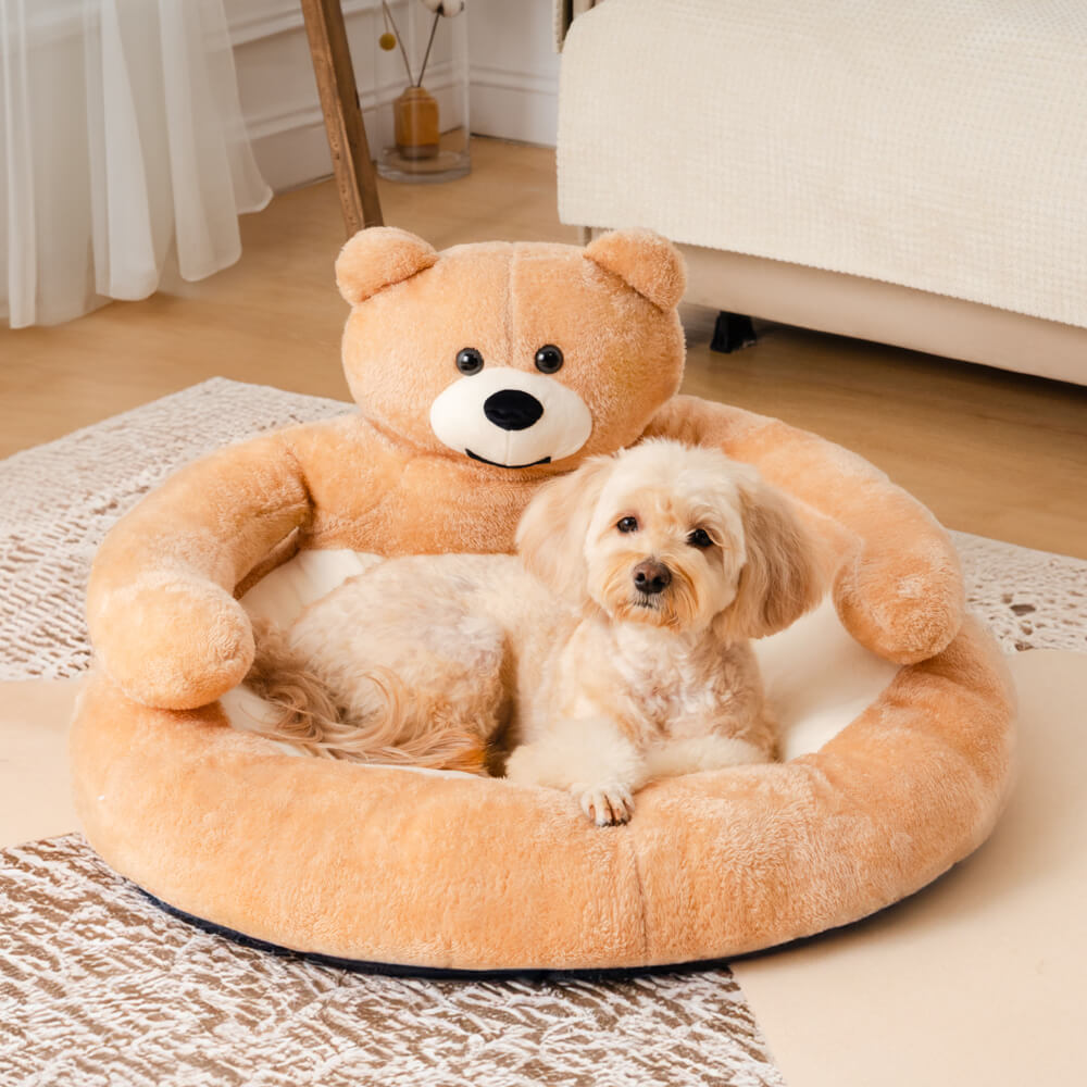 Cute Detachable Cuddle Bear Cat Bed