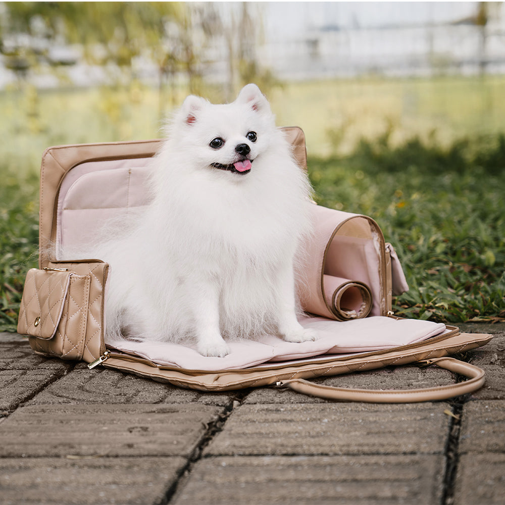 Large Carrying Stylish Multi-Functional Human-Dog Shared Travel Pet Bag - Wandering Tail