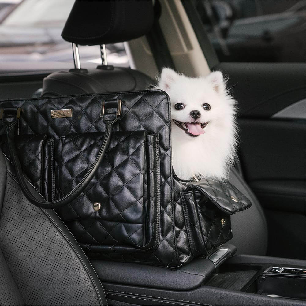 Large Carrying Stylish Multi-Functional Human-Dog Shared Travel Pet Bag - Wandering Tail