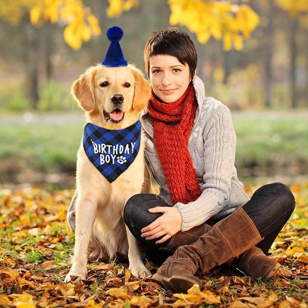 Party-Set zum Geburtstag eines Hundes für Jungen und Mädchen – blau kariertes Bandana und Hut mit Zahlenaufklebern