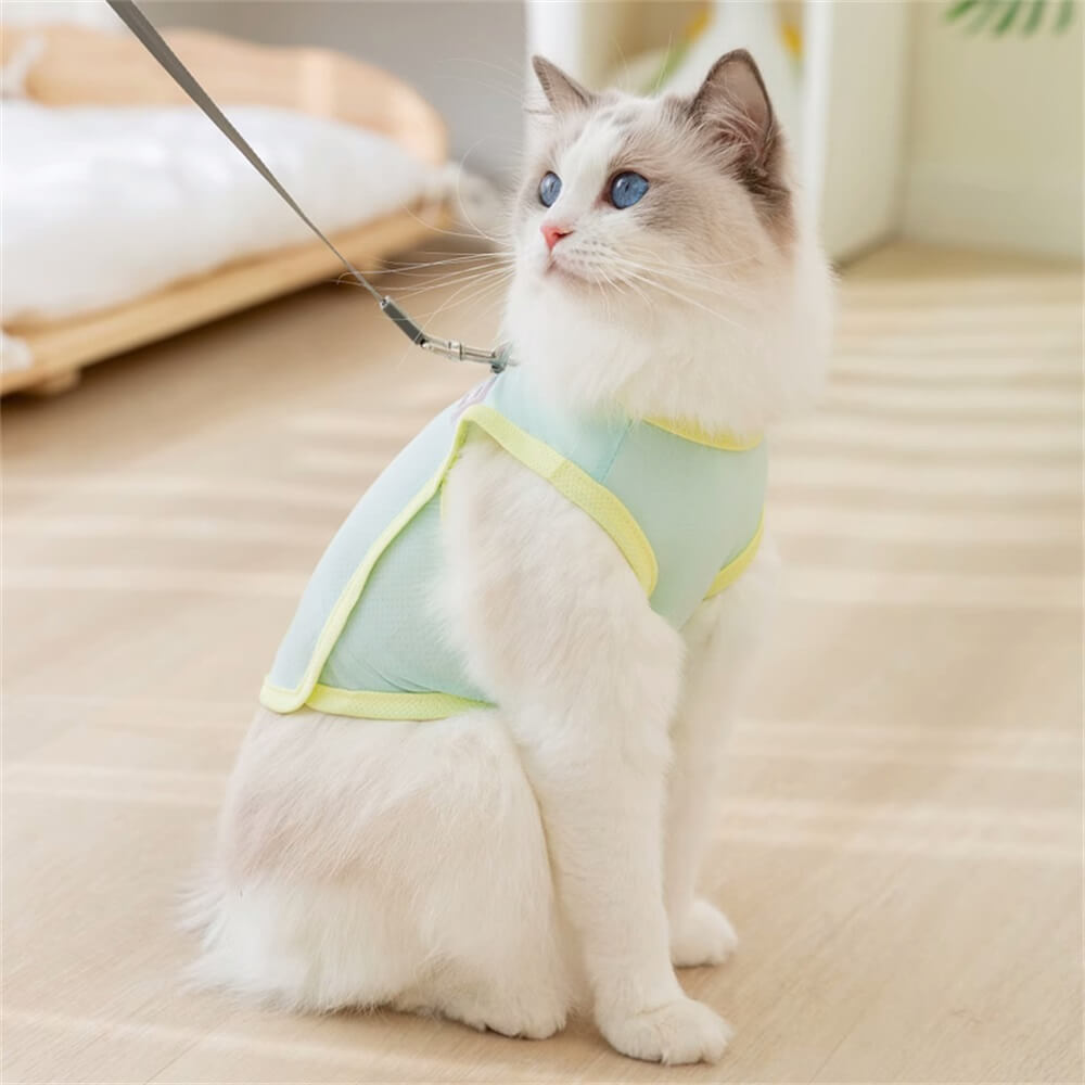 Breathable Pastel Dog Harness Vest - Comfortable and Stylish for Everyday Wear