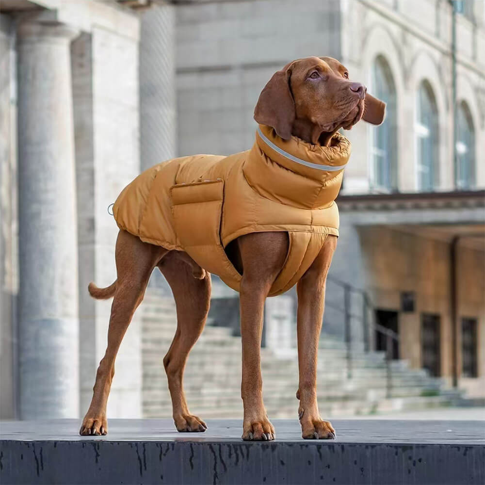 Waterproof And Windproof Warm Vest - The Ultimate In Winter Warmth And Style