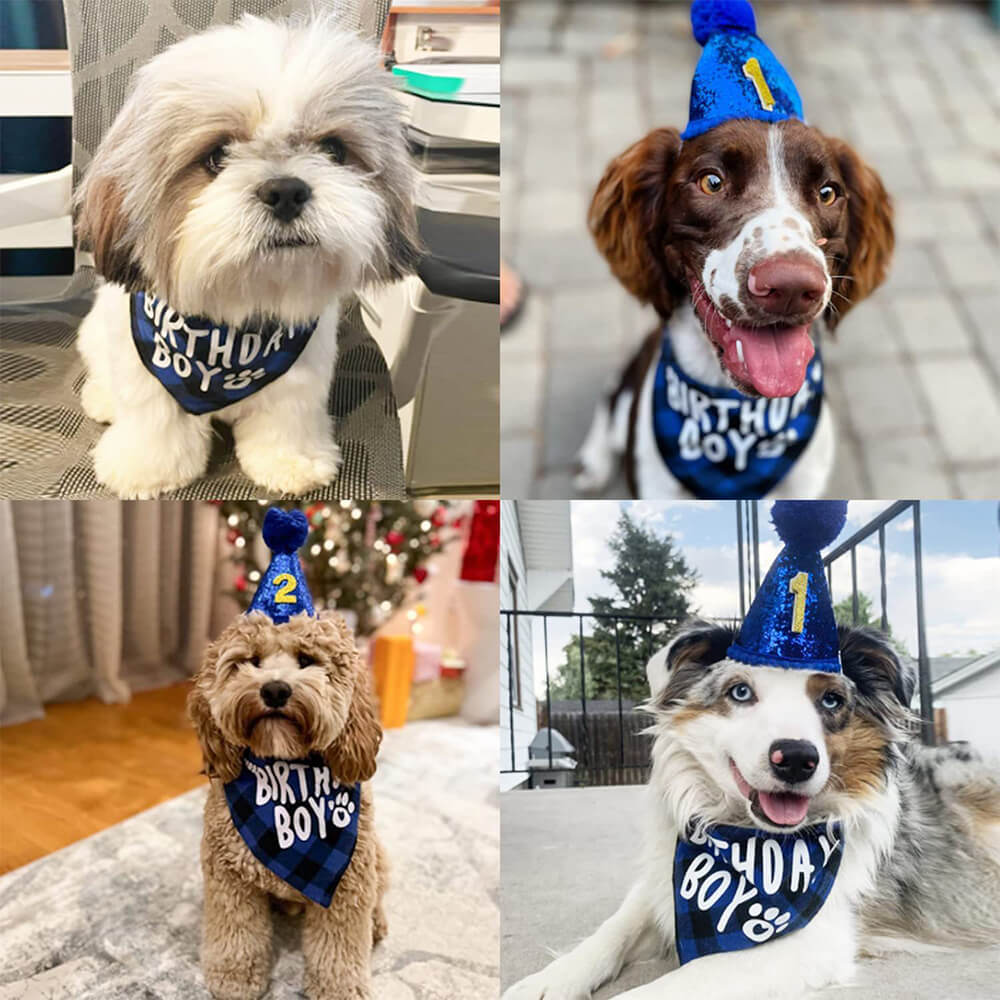 Party-Set zum Geburtstag eines Hundes für Jungen und Mädchen – blau kariertes Bandana und Hut mit Zahlenaufklebern