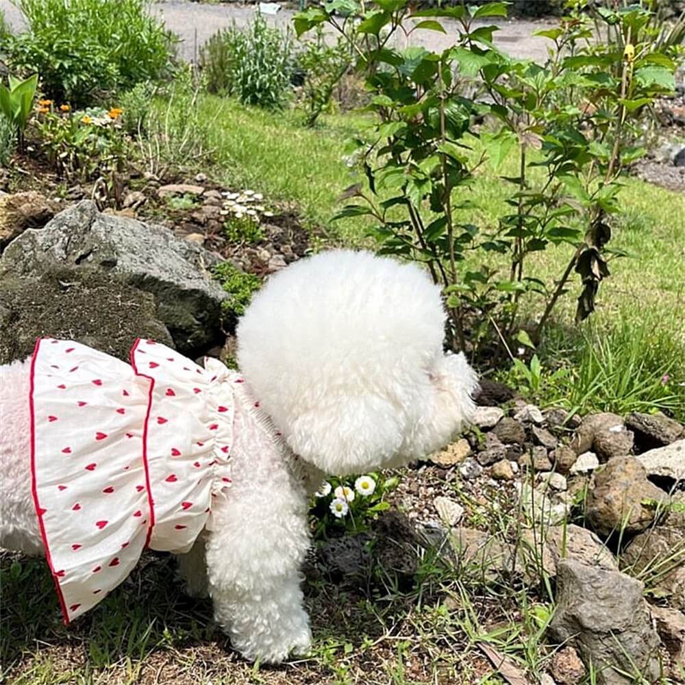 Heart Ruffle Dog Dress – Perfect for Special Occasions and Everyday Cuteness