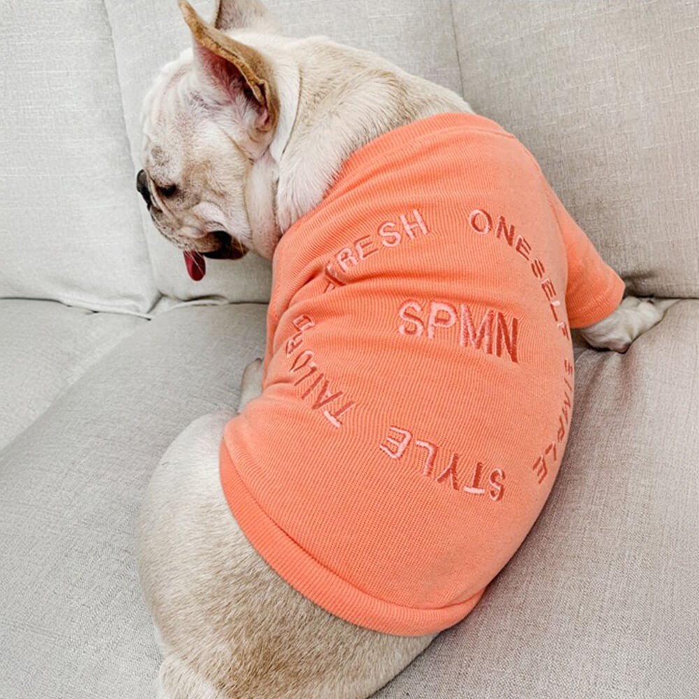 Stylish Embroidered Long Sleeve Pullover Sweatshirt for Pet and Owner Matching Clothes