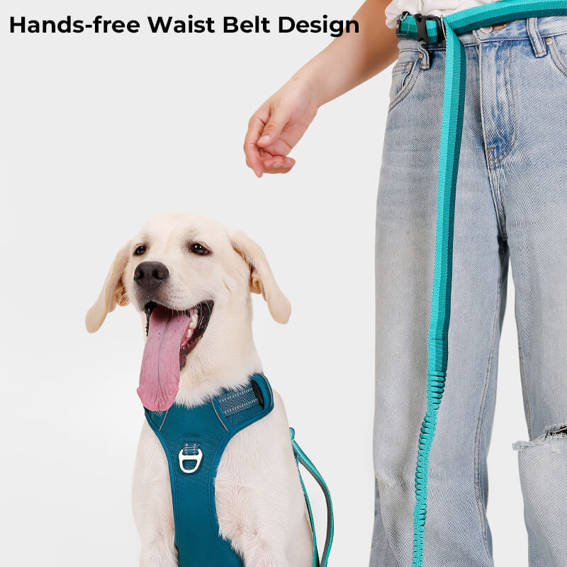 Adjustable Anti-Pull Breathable Dog Harness with Hands-Free Leash