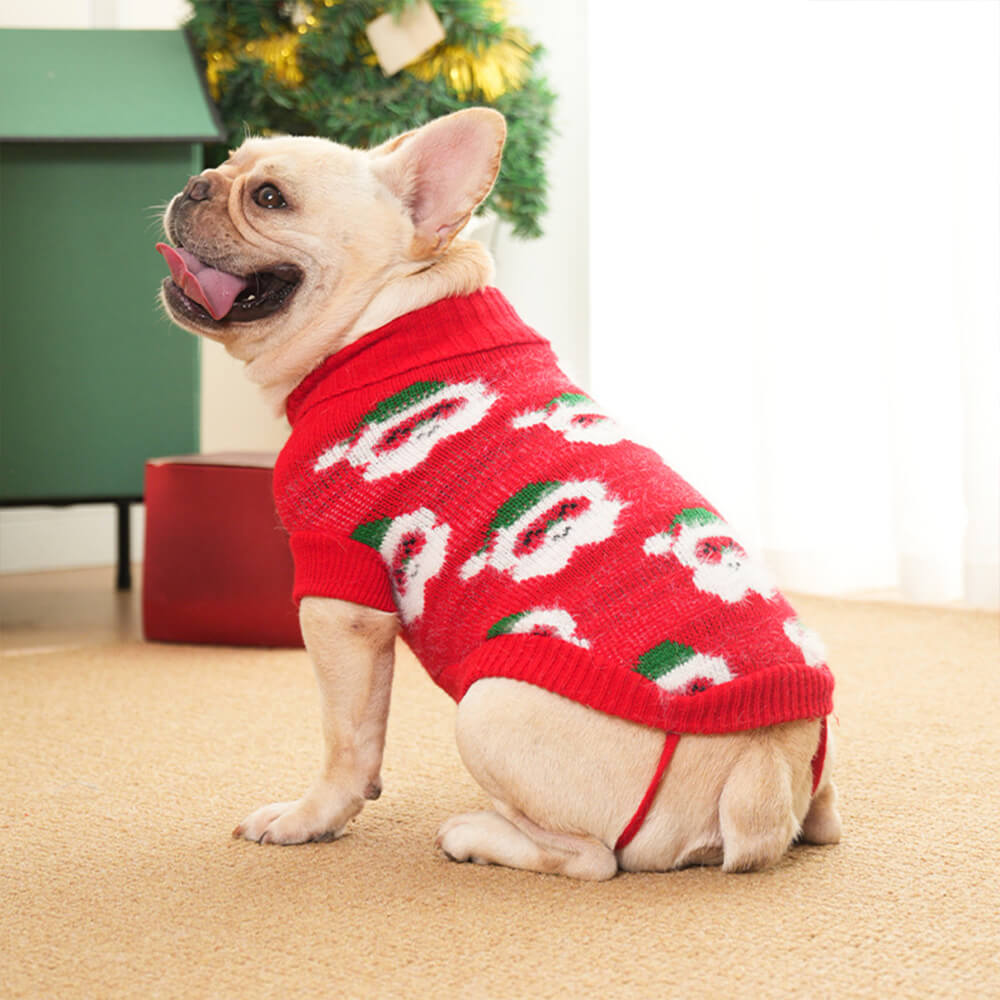 Christmas Turtleneck Dog Knit Sweater Matching Pullover For Dogs And Owner