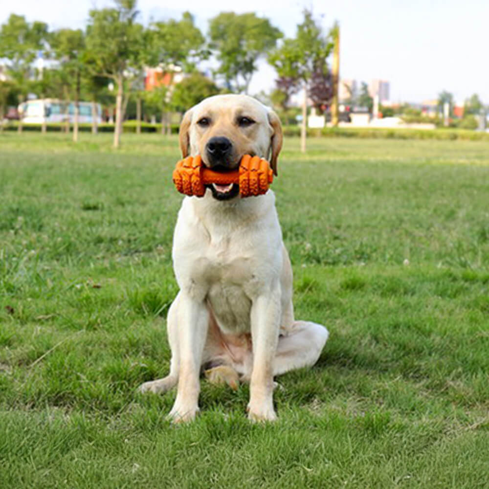 Dumbbell Silicone Slow Feeder Durable Interactive Dog Toy