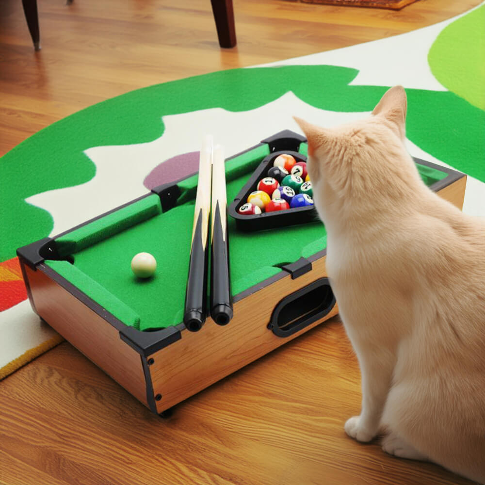 Jeu de billard de table interactif amusant Playtime