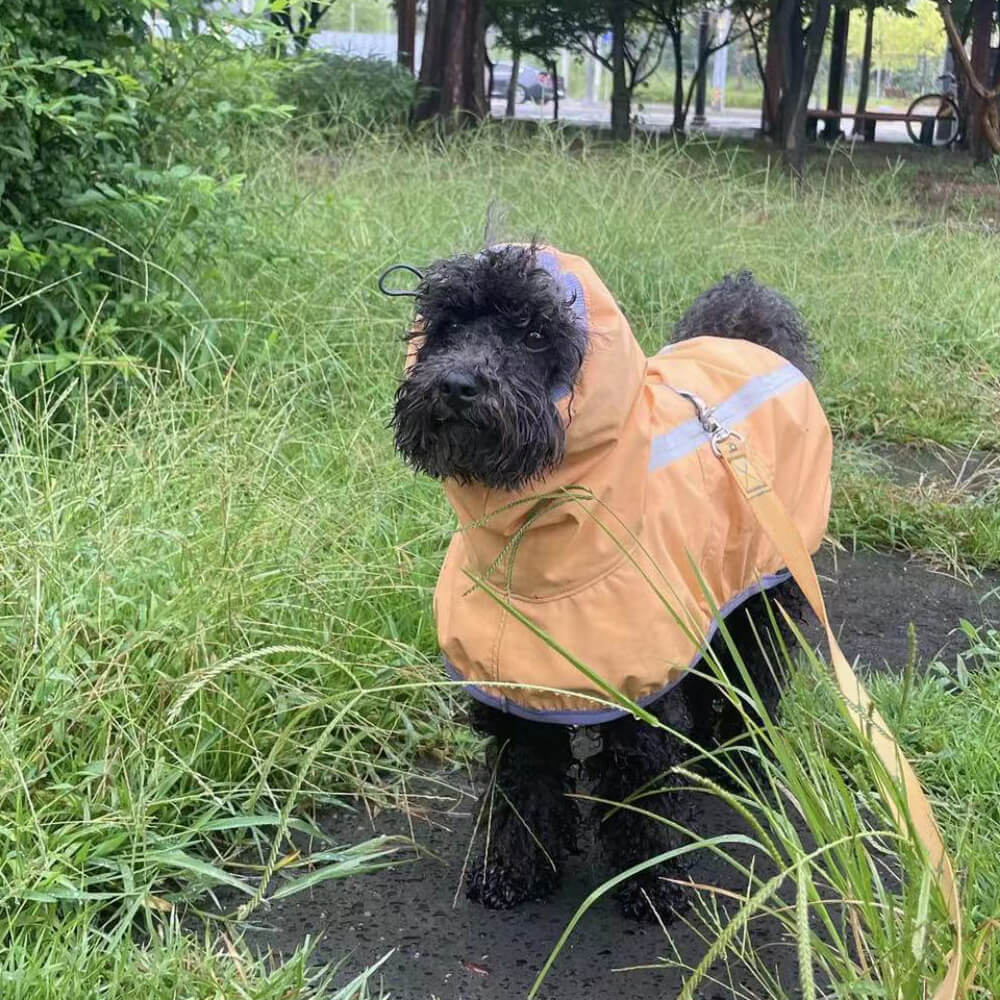 Outdoor Lightweight Waterproof Dog Raincoat with Reflective Strip Hoodie