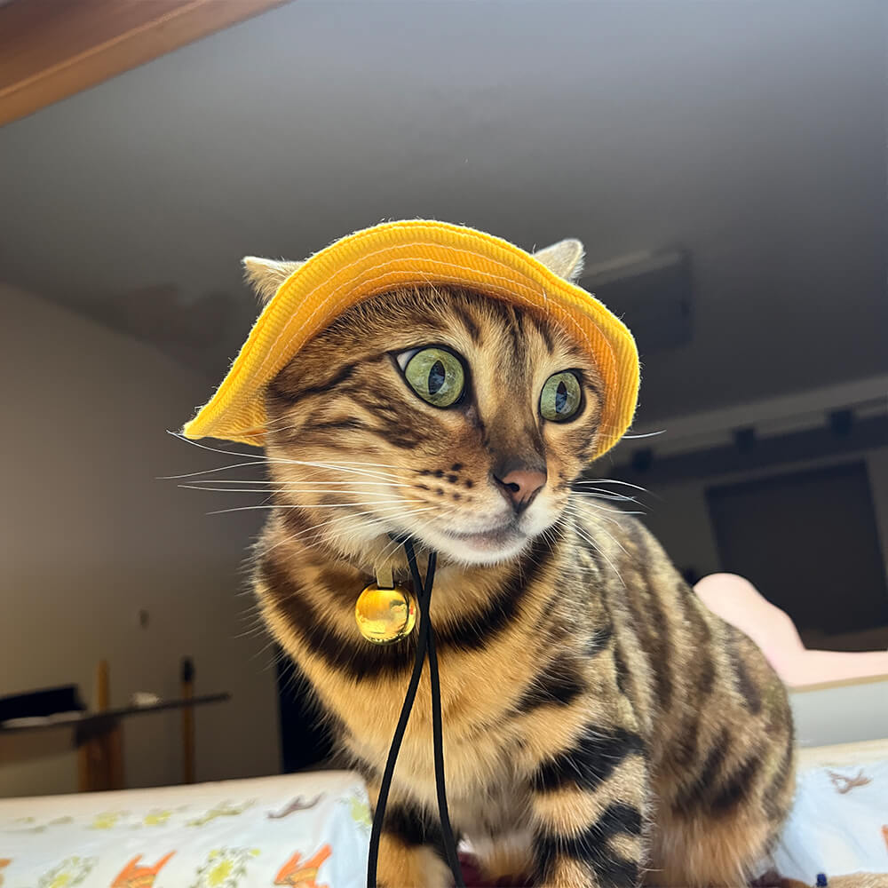 Outdoor Sun Protection Cowboy Bucket Hat Pet Hat