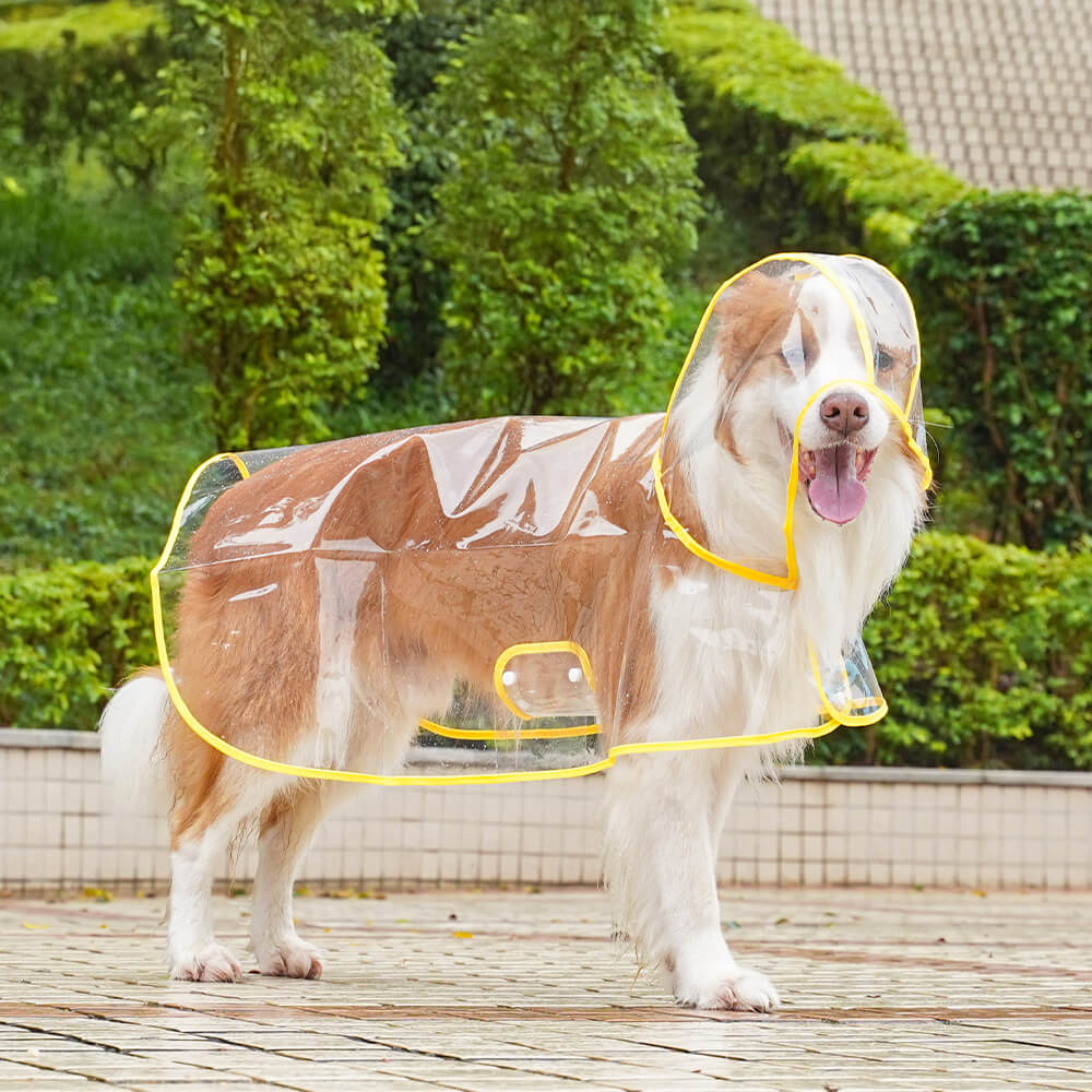 Transparent EVA Waterproof Outdoor Dog Hooded Raincoat