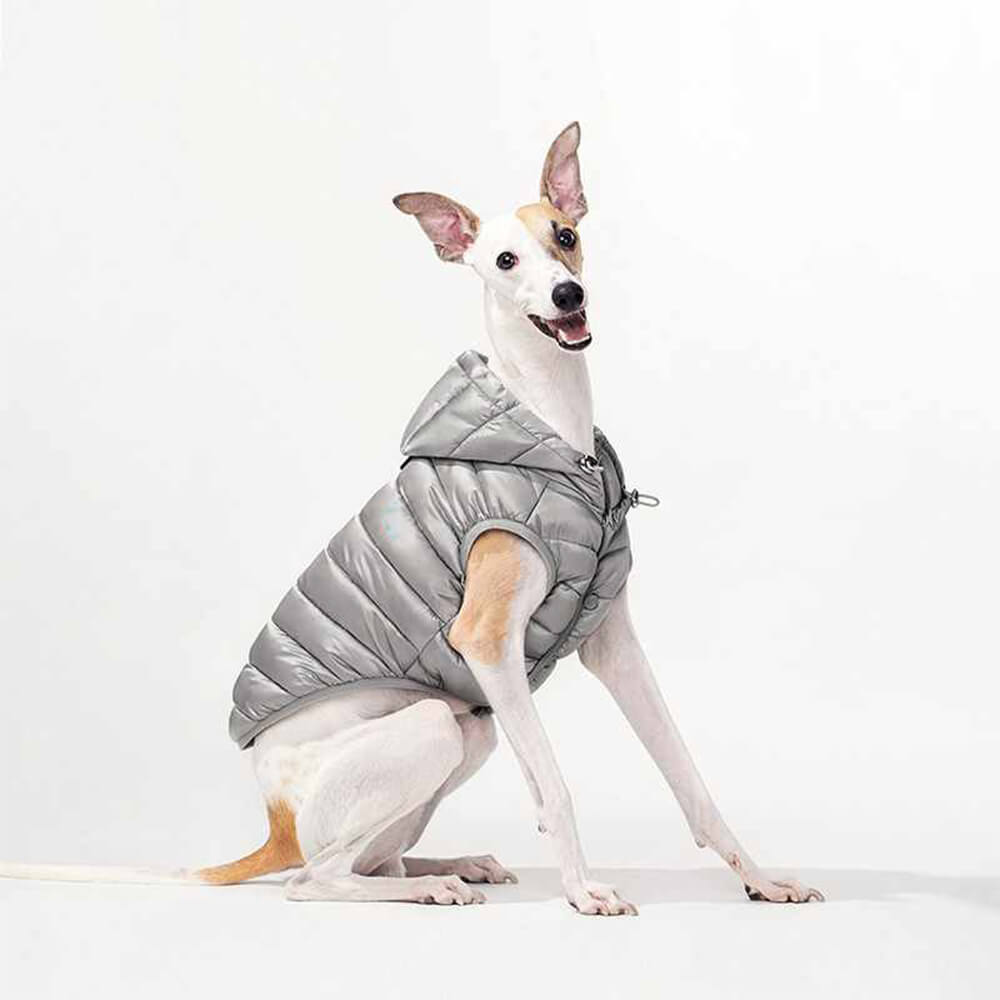 Trendy Lightweight Warm Dog Hooded Vest with D-Ring Leash