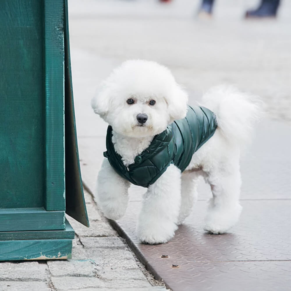 Trendy Lightweight Warm Dog Hooded Vest with D-Ring Leash