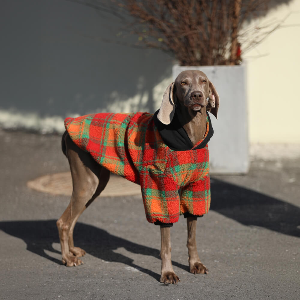 Vintage Leisure Square Striped Warm Dog Hoodie