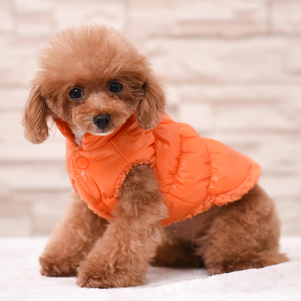 Warm Thick Windproof Waterproof Eco-Friendly Dog Vest