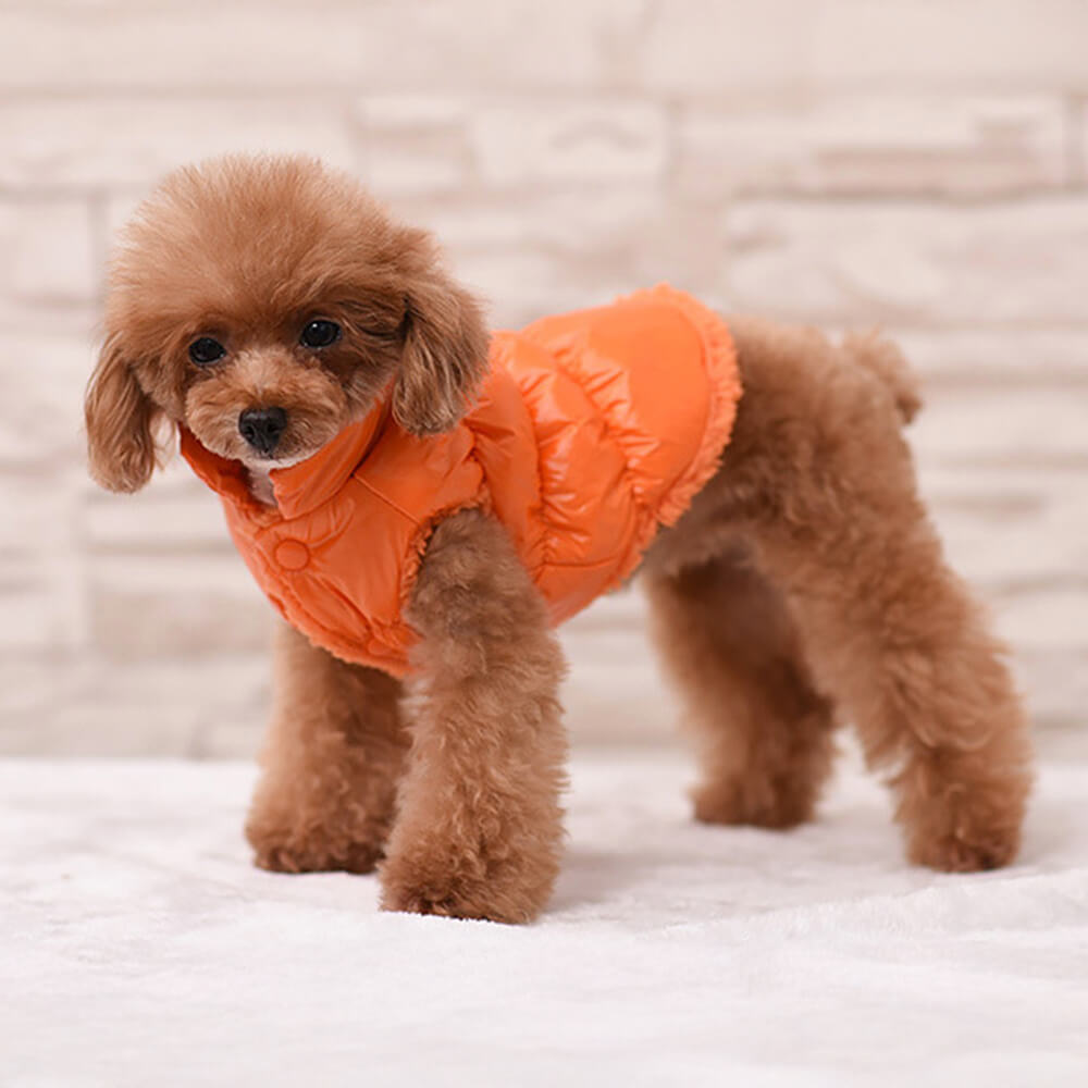 Warm Thick Windproof Waterproof Eco-Friendly Dog Vest