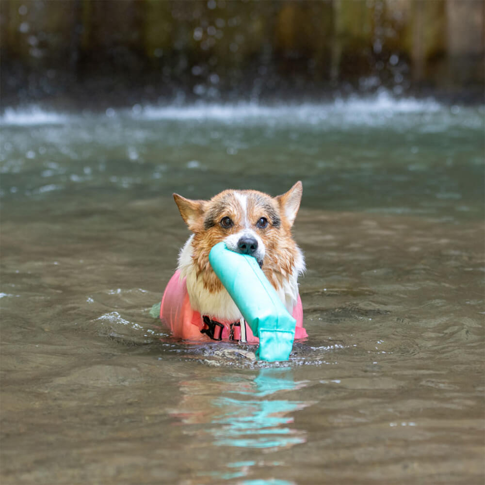 Outdoor Interactive Toys Resistant to Pull Dog Floating Toys