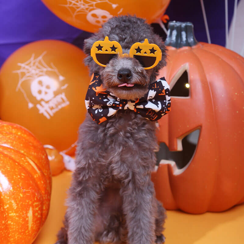 Halloween Decoration Fashion Pumpkin Dog Goggles