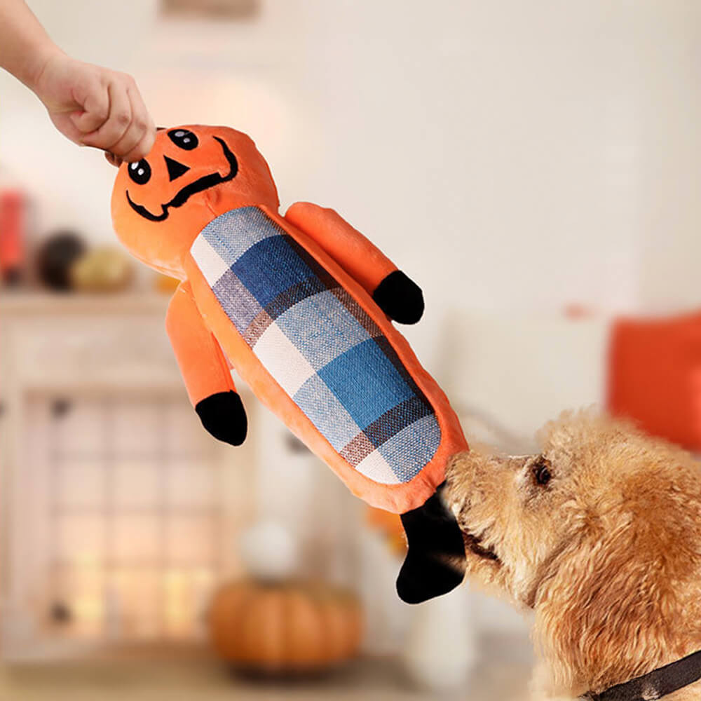 Halloween Funny Pumpkin Teething Rope Toys Dog Chew Toy Set