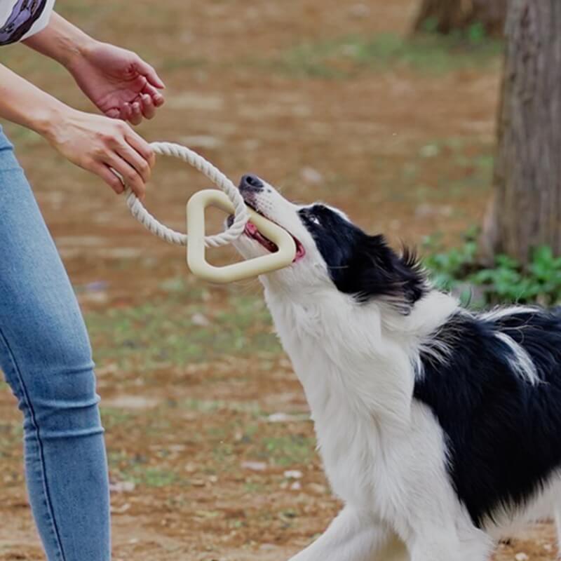 Interactive Tug-of-War Dog Toy Teeth Cleaning Rubber Chew Toy