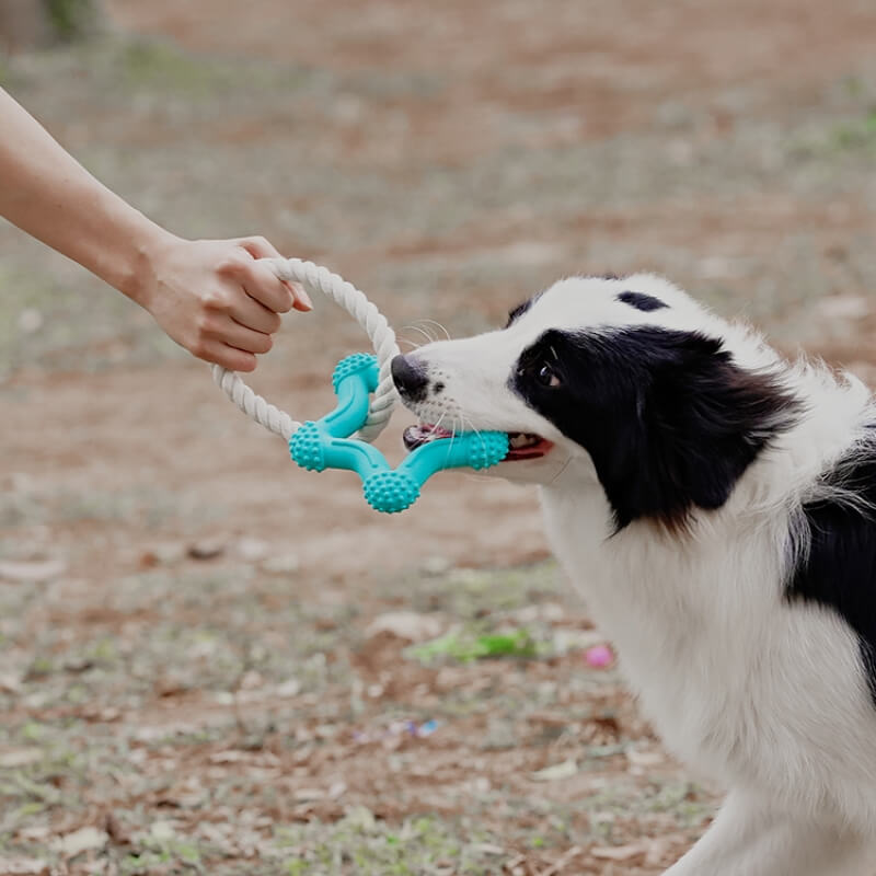 Interactive Tug-of-War Dog Toy Teeth Cleaning Rubber Chew Toy