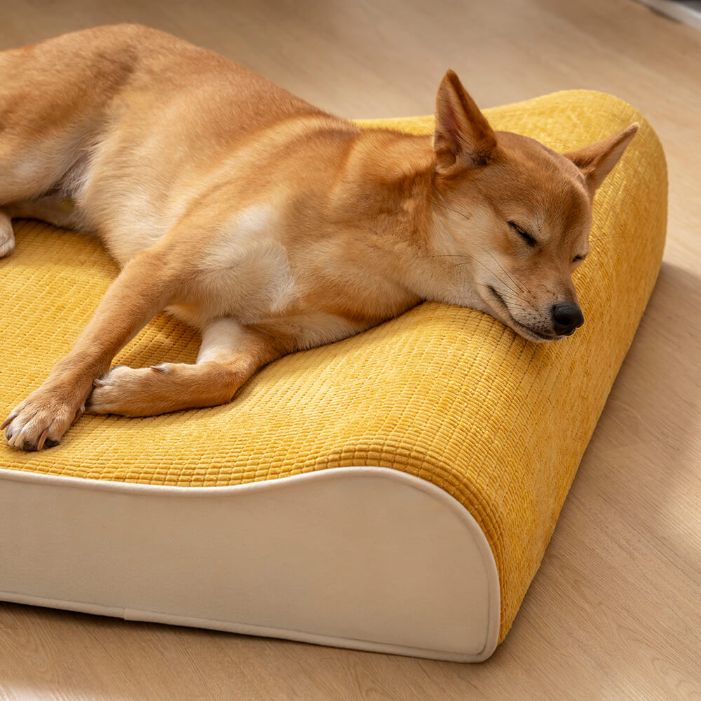 Luxurious Nobility Dog Lounge Chair Orthopedic Dog Bed