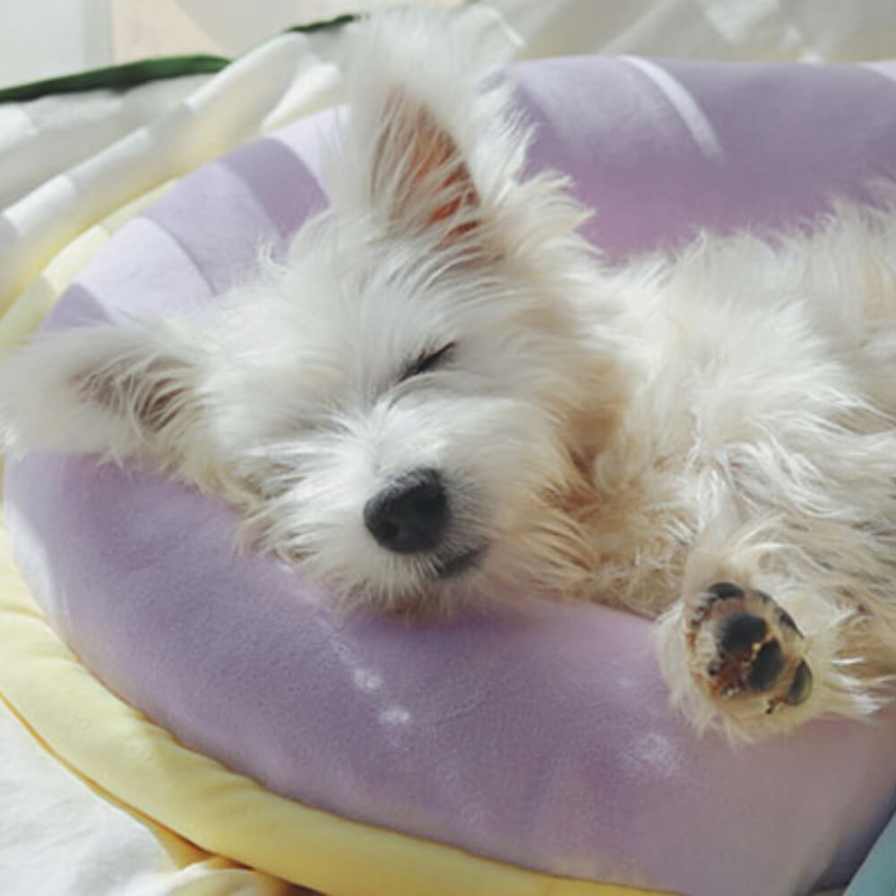 Orthopedic Spine-Support Pillow Dog Sleep Pillow