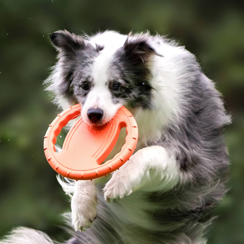 Steering Wheel Rubber Throw Toy Interactive Dog Flying Disc