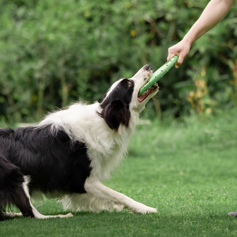 Steering Wheel Rubber Throw Toy Interactive Dog Flying Disc