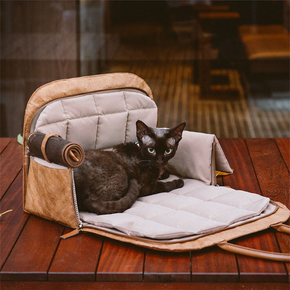 Vogue Eco-friendly Multi-functional Pet Travel Bag - City Roamer