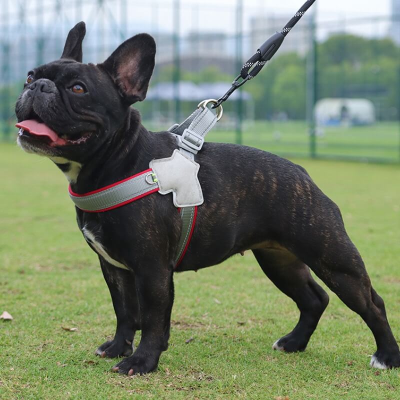 Adjustable Dog Chest Harness