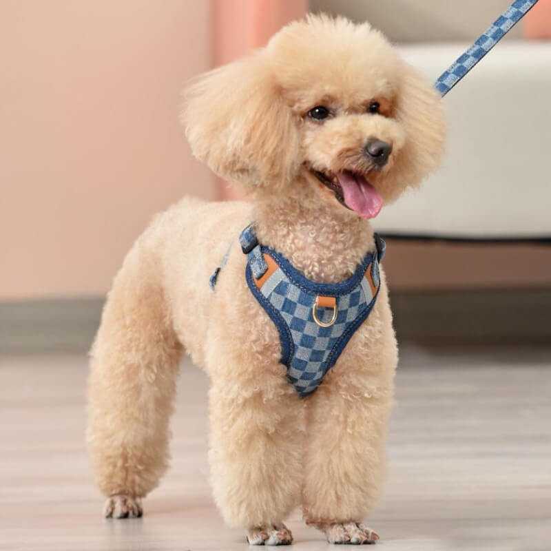 Anti Pull Dog Harness Walk Set