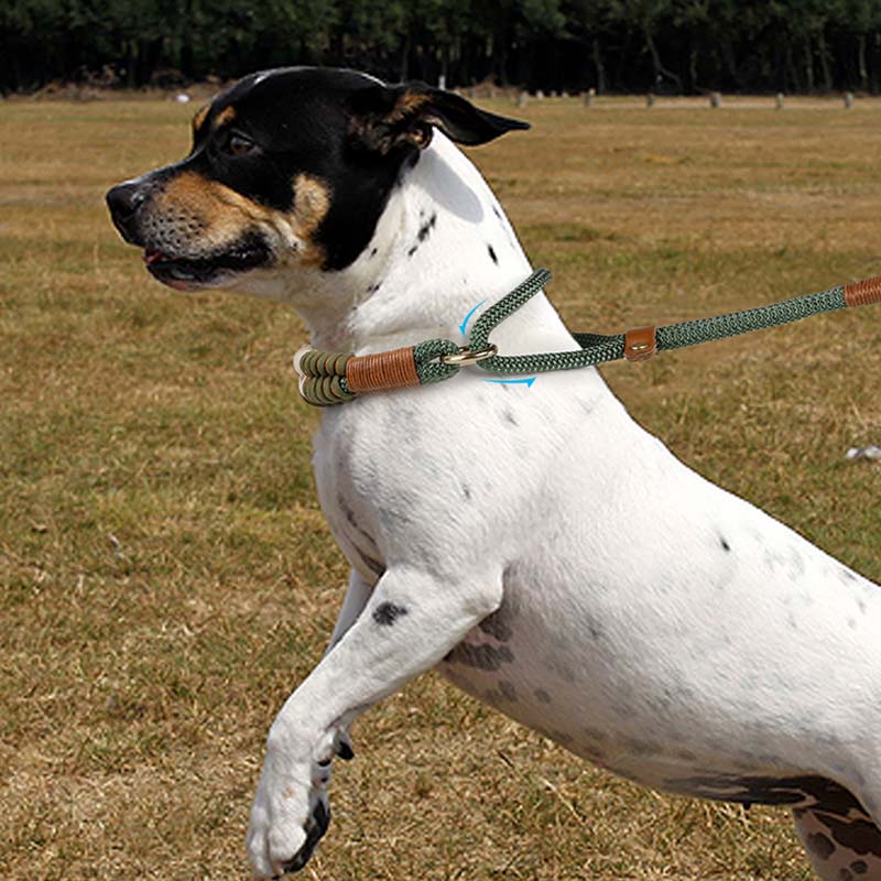 Hand-knitted Braided Rope No Pull Dog Training All in One Leash