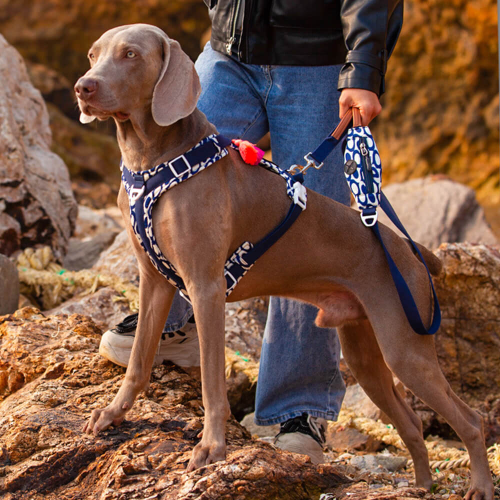 Secure Anti-Pull Large Dog Harness and Leash Walking Set with Walk Bag