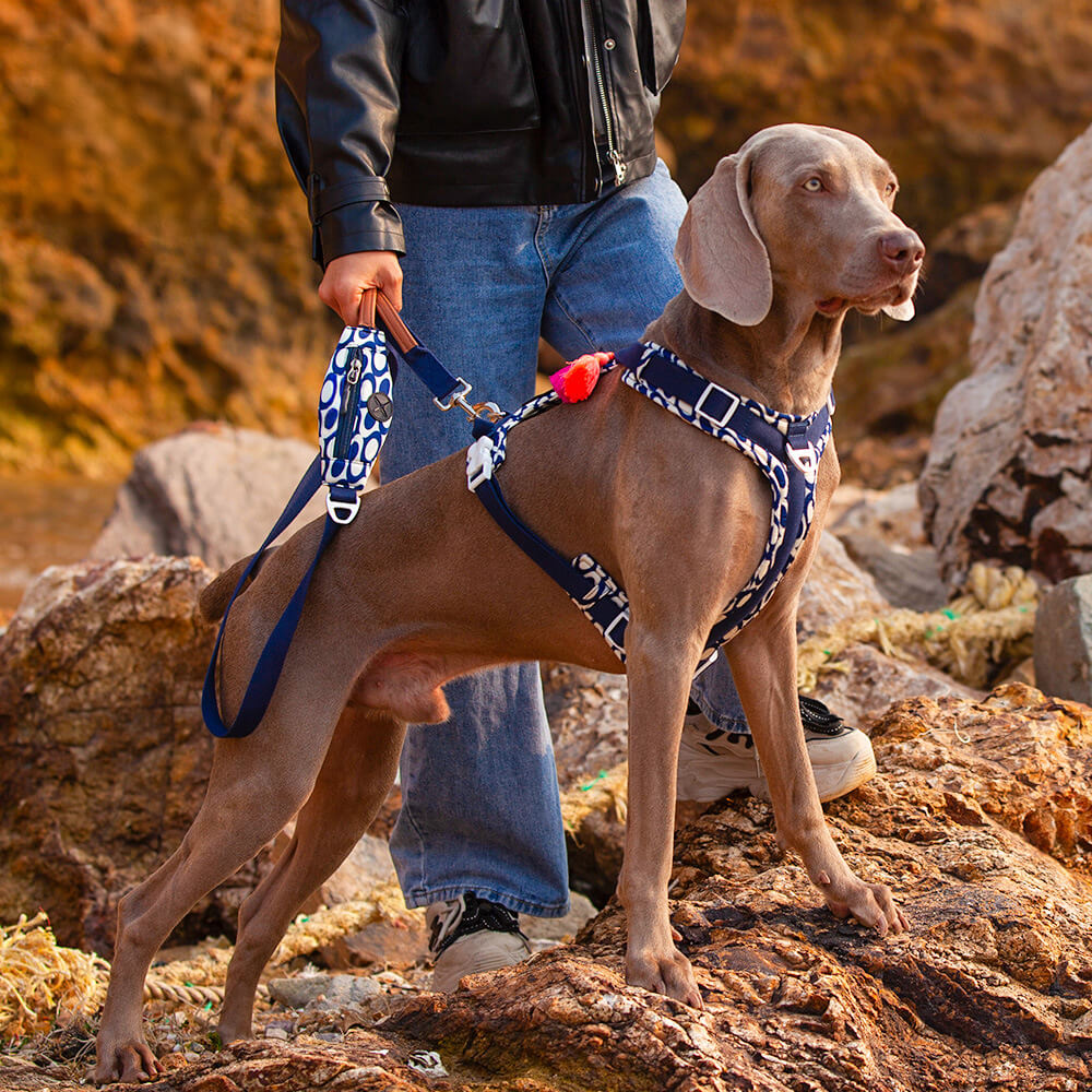 Secure Anti-Pull Large Dog Harness and Leash Walking Set with Walk Bag