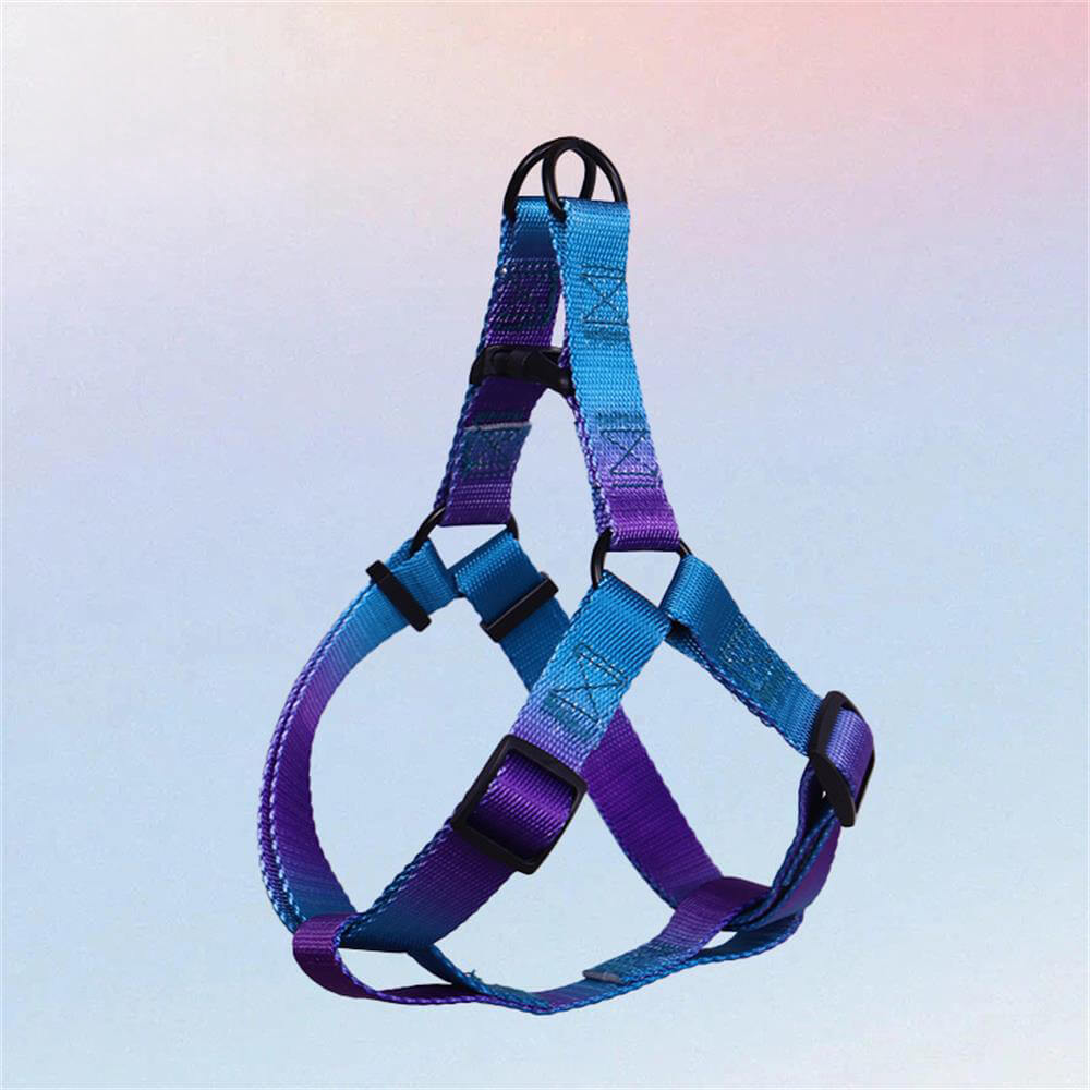 Colorful Gradient Dog Traction Rope and Chest Harness - Anti-Breakaway Design