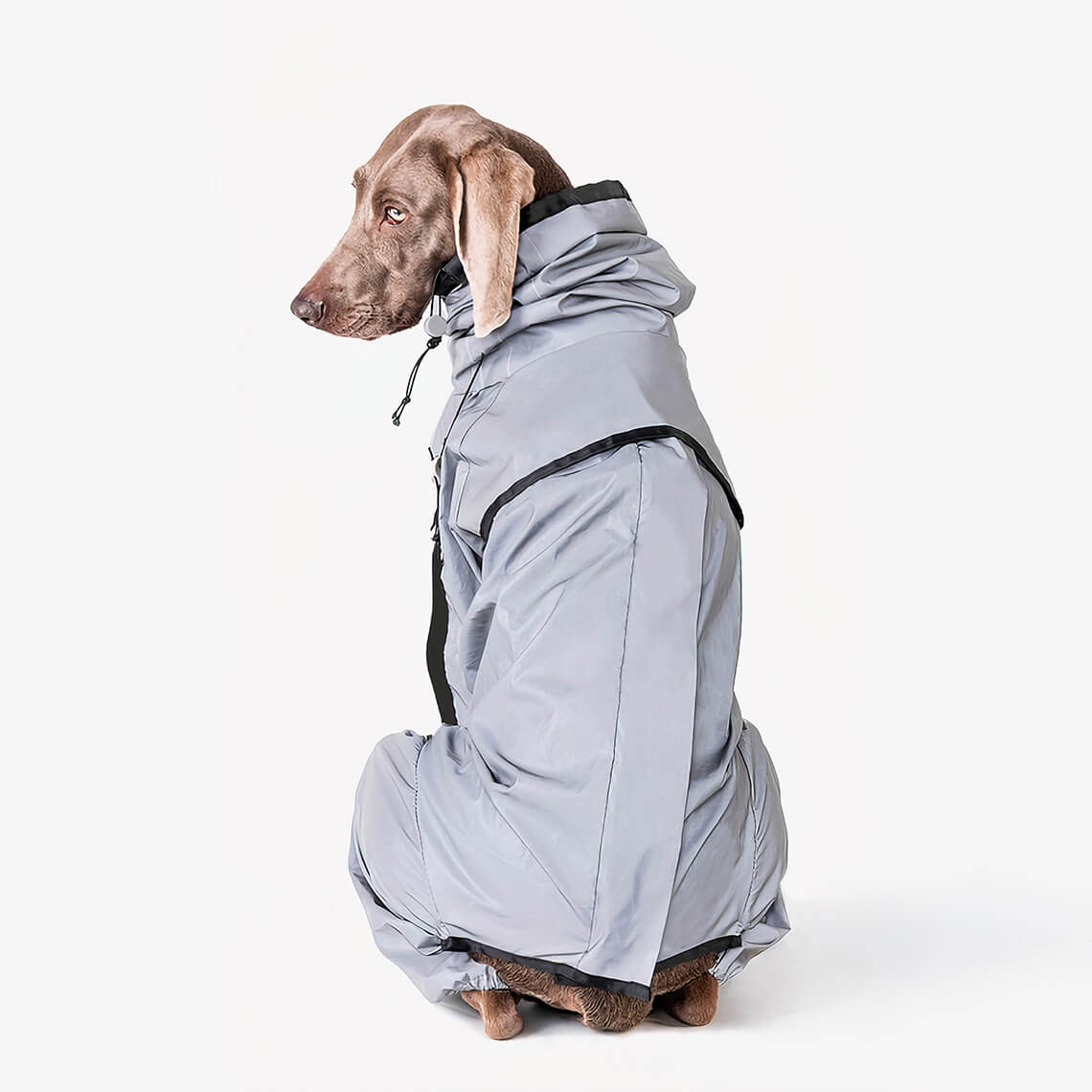 Reflective All-weather Waterproof Cool Dog Accessories Rain Coat