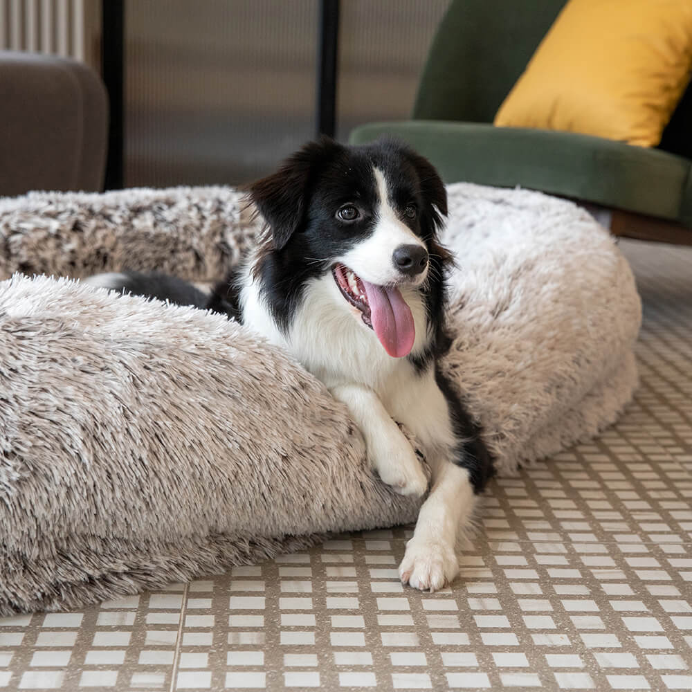 Luxury Super Large Human Dog Bed With Super Soft Pet Throw Blanket