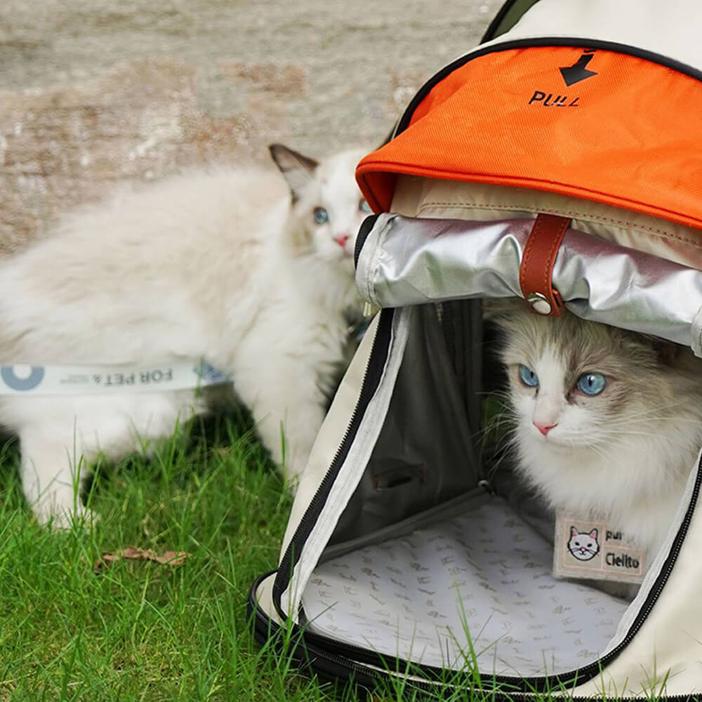 Transformers Pro Travel Camping Tent Cat Backpack