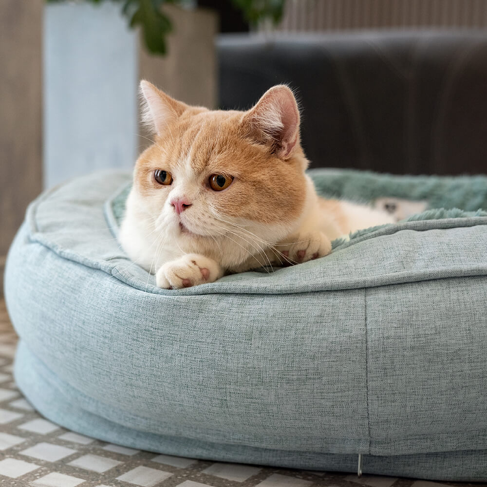 Donut Fluffy Orthopedic Dog Bed