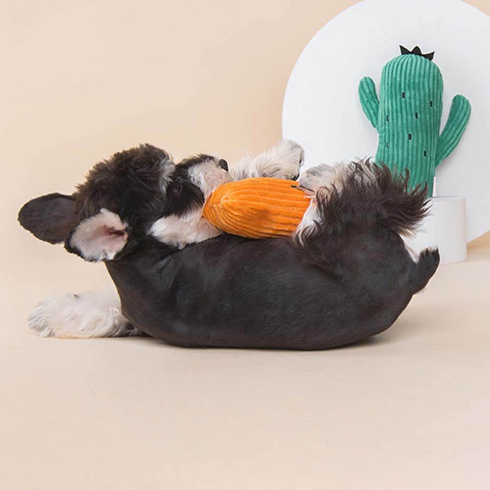 Plush Squeaky Dog Toy Set - Cactus