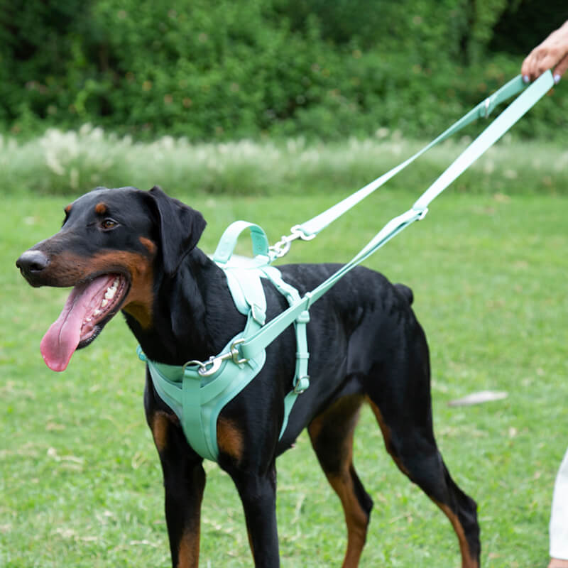 Gummy Dog Harness